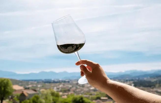 The Ultimate Guide to Choosing the Perfect Wine for Any Occasion in Canada