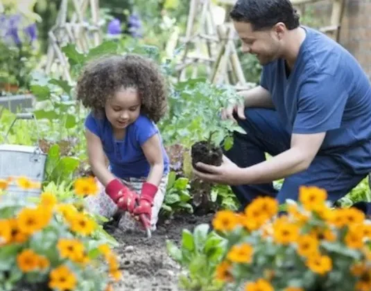 Fun Ways to Celebrate Spring with Your Family