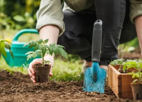 Essential Tips for Starting a Thriving Garden in Canada